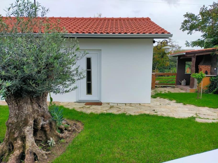Casinha Do Rio Villa Soure Ngoại thất bức ảnh