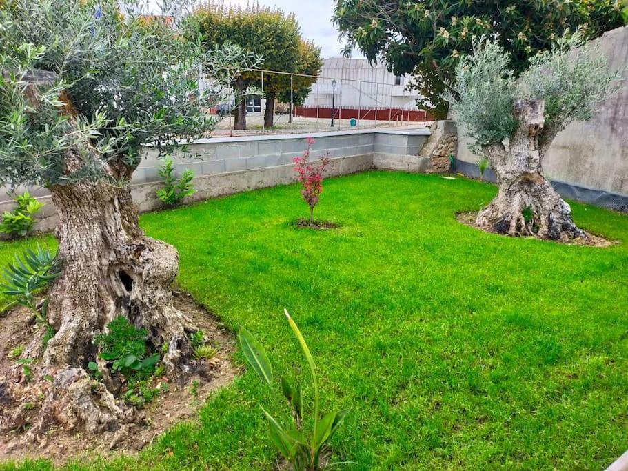 Casinha Do Rio Villa Soure Ngoại thất bức ảnh